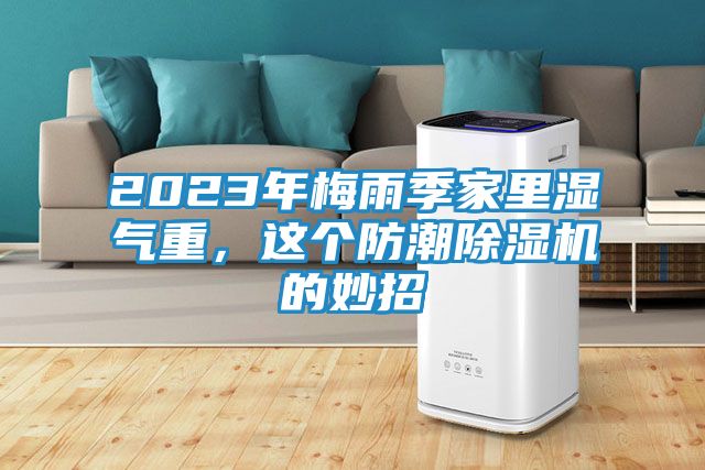 2023年梅雨季家里湿气重，这个防潮除湿机的妙招