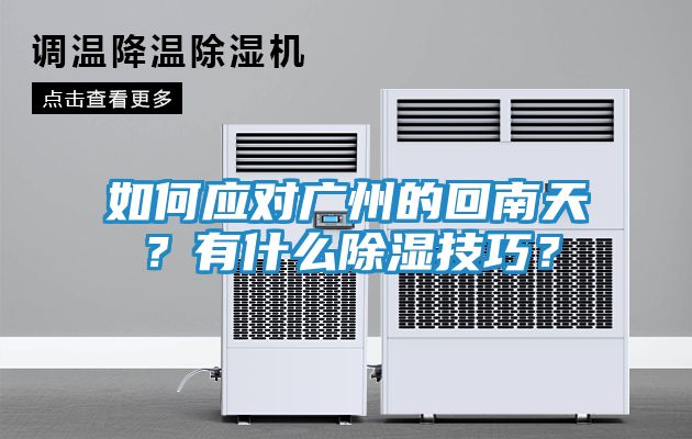 如何应对广州的回南天？有什么除湿技巧？