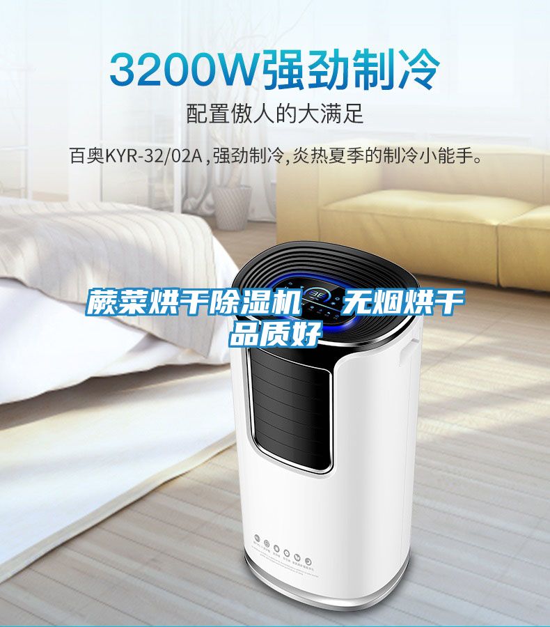 蕨菜烘干除湿机  无烟烘干品质好