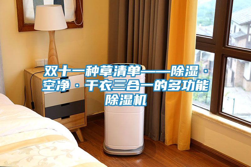 双十一种草清单——除湿·空净·干衣三合一的多功能除湿机