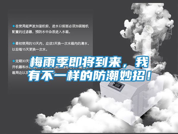 梅雨季即将到来,我有不一样的防潮妙招!