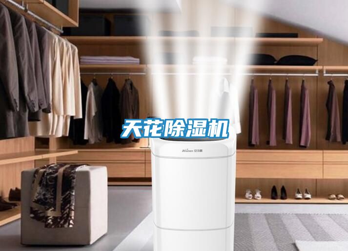 天花除湿机