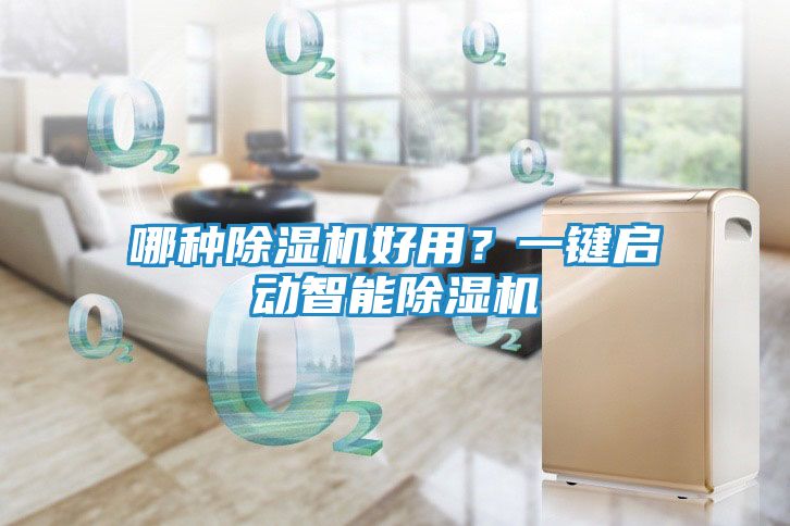 哪种除湿机好用？一键启动智能除湿机