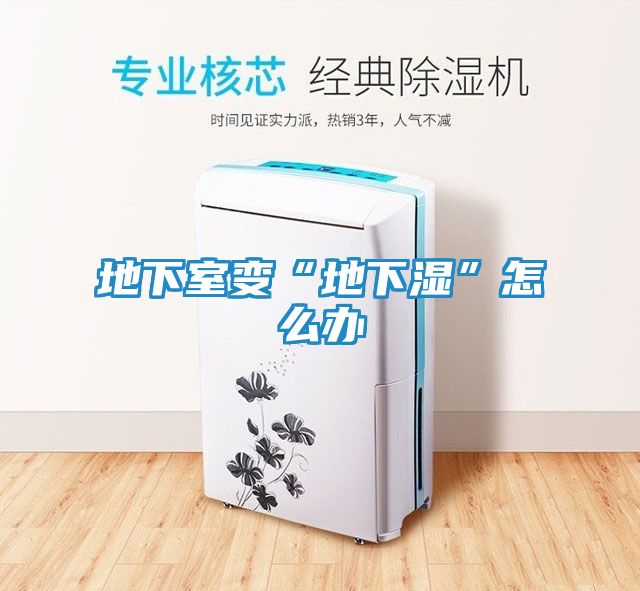 地下室变“地下湿”怎么办