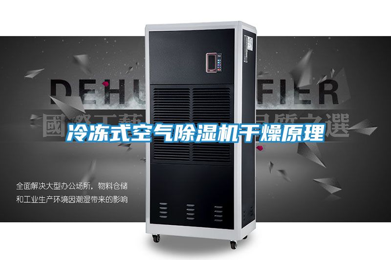 冷冻式空气除湿机干燥原理