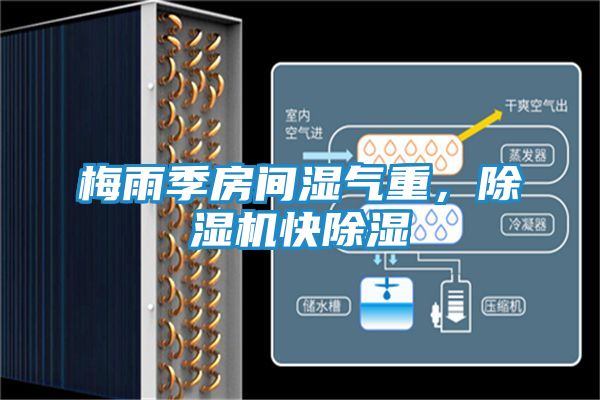 梅雨季房间湿气重，除湿机快除湿