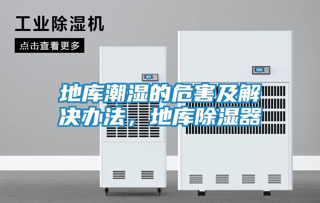 地库潮湿的危害及解决办法，地库除湿器
