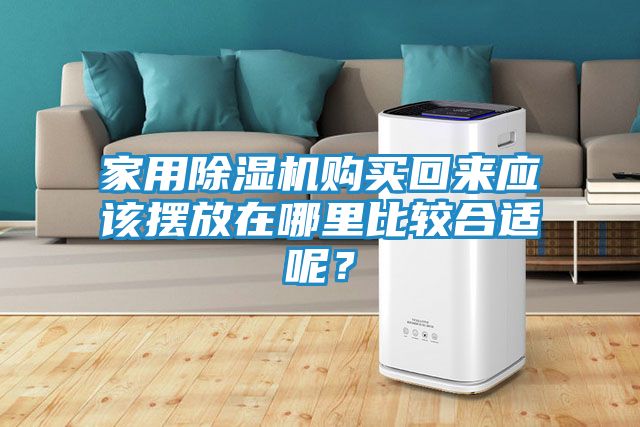 家用除湿机购买回来应该摆放在哪里比较合适呢？