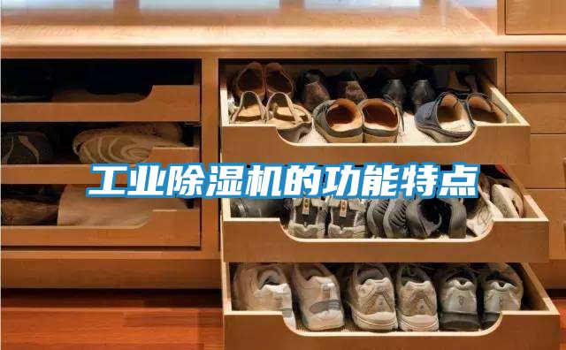 工业除湿机的功能特点