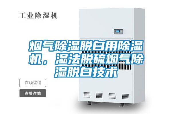烟气除湿脱白用除湿机，湿法脱硫烟气除湿脱白技术