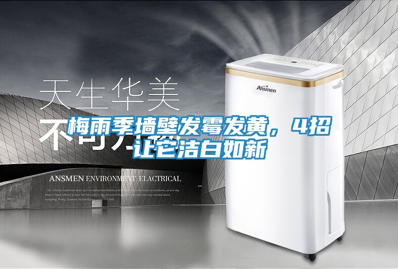 梅雨季墙壁发霉发黄,4招让它洁白如新