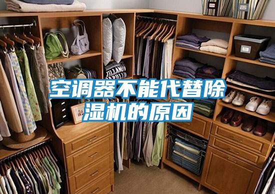 空调器不能代替除湿机的原因