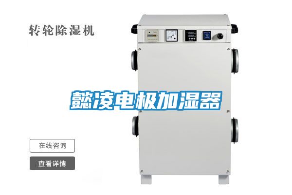 懿凌电极加湿器