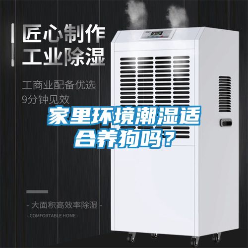 家里环境潮湿适合养狗吗？