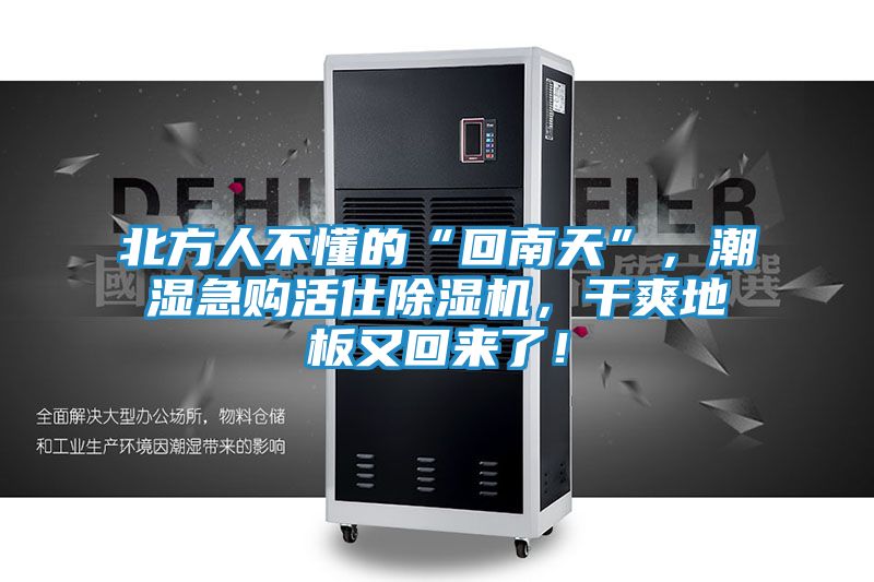 北方人不懂的“回南天”，潮湿急购活仕除湿机，干爽地板又回来了！