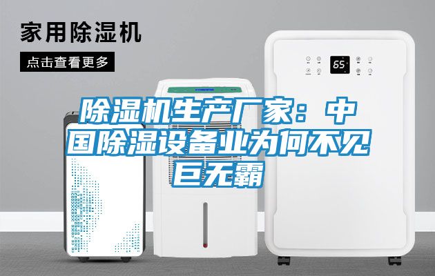除湿机生产厂家：中国除湿设备业为何不见巨无霸
