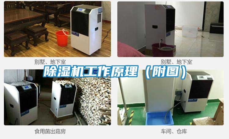 除湿机工作原理（附图）