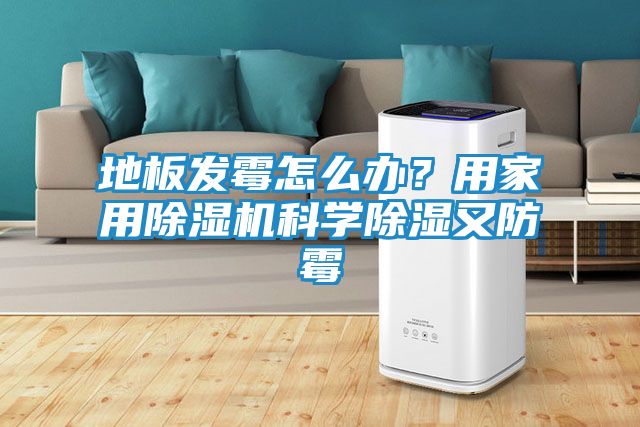 地板发霉怎么办？用家用除湿机科学除湿又防霉