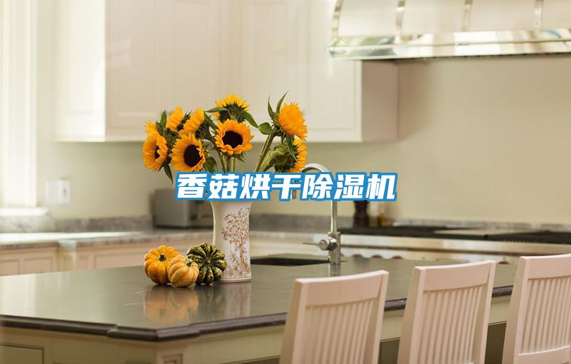 香菇烘干除湿机