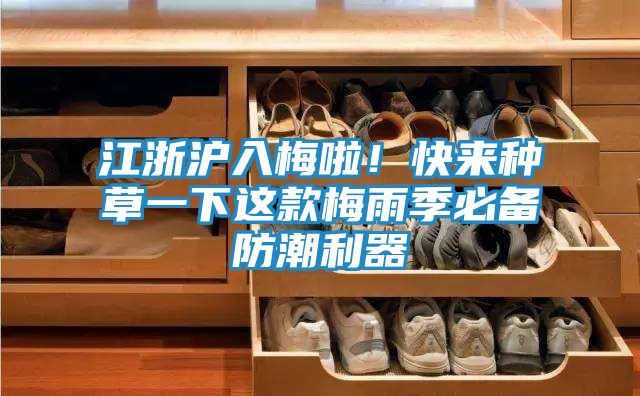 江浙沪入梅啦！快来种草一下这款梅雨季必备防潮利器