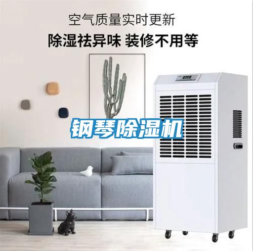 钢琴除湿机