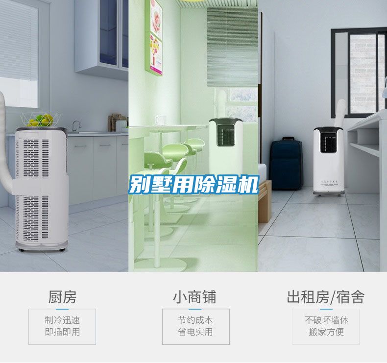 别墅用除湿机