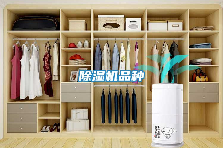 除湿机品种