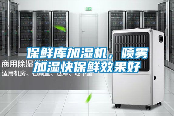 保鲜库加湿机，喷雾加湿快保鲜效果好