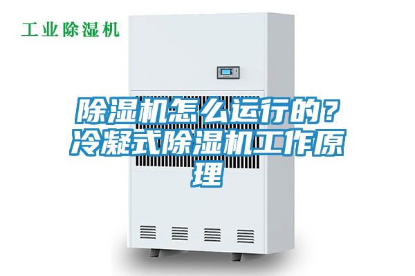 除湿机怎么运行的？冷凝式除湿机工作原理
