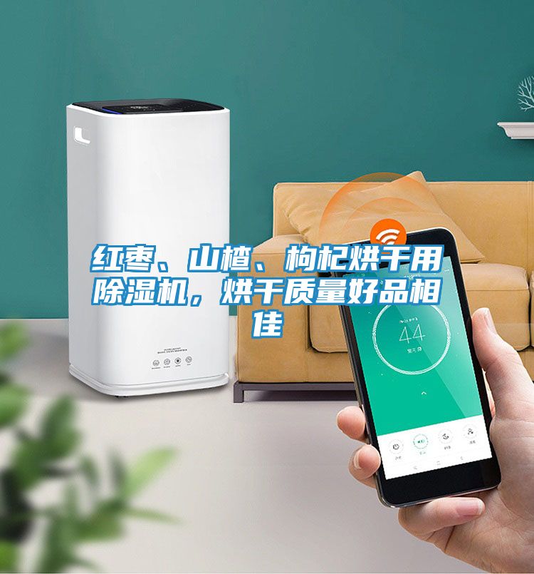 红枣、山楂、枸杞烘干用除湿机，烘干质量好品相佳