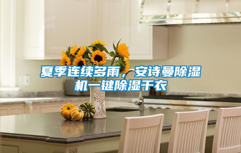 夏季连续多雨，安诗曼除湿机一键除湿干衣