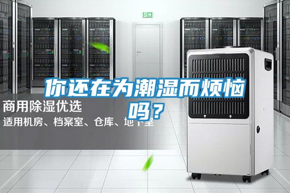 你还在为潮湿而烦恼吗?