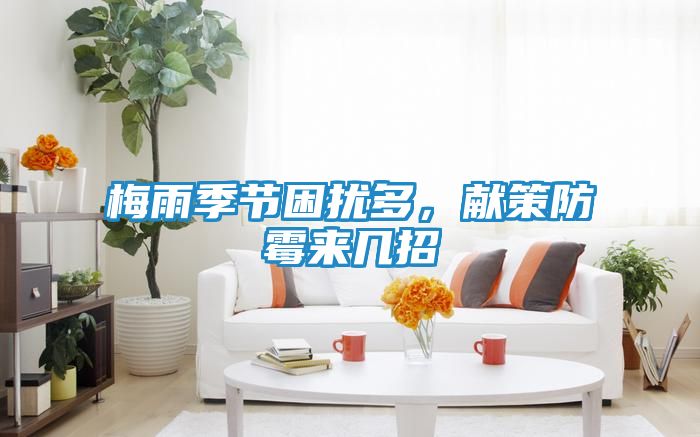 梅雨季节困扰多，献策防霉来几招