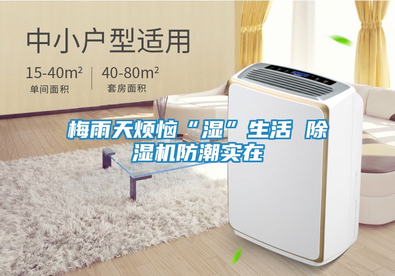 梅雨天烦恼“湿”生活 除湿机防潮实在