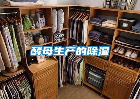 酵母生产的除湿