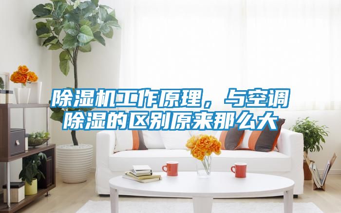 除湿机工作原理，与空调除湿的区别原来那么大