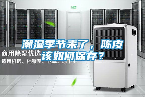 潮湿季节来了，陈皮该如何保存？