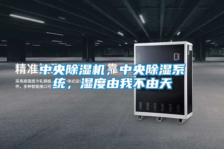 中央除湿机，中央除湿系统，湿度由我不由天
