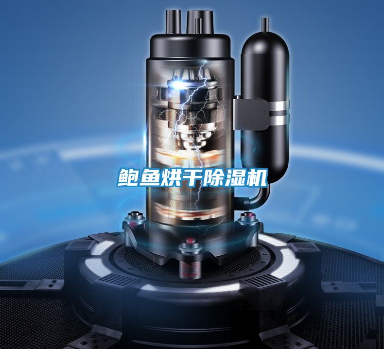 鲍鱼烘干除湿机