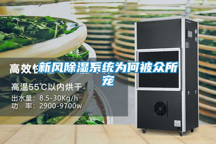 新风除湿系统为何被众所宠