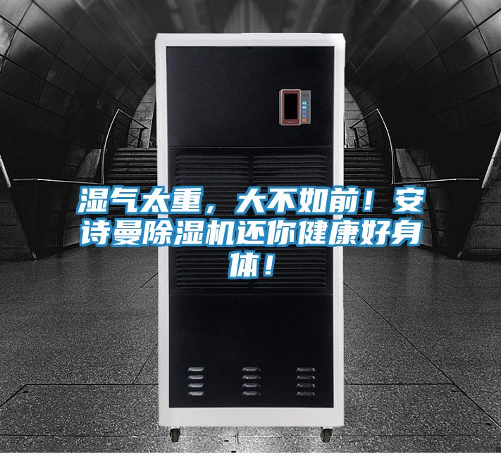 湿气太重，大不如前！安诗曼除湿机还你健康好身体！