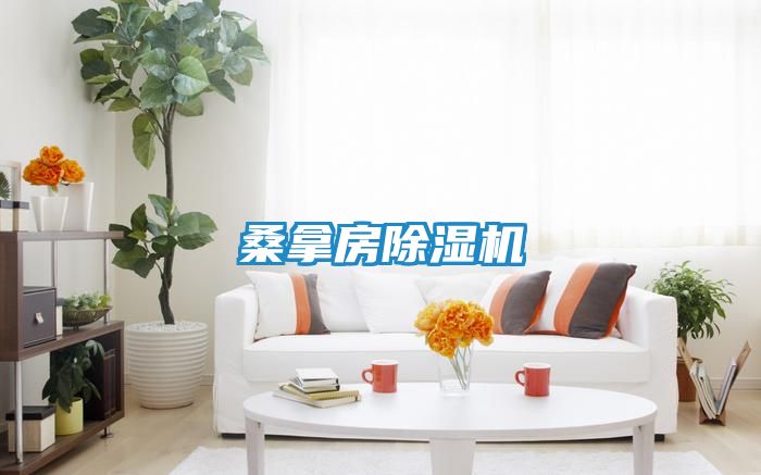 桑拿房除湿机