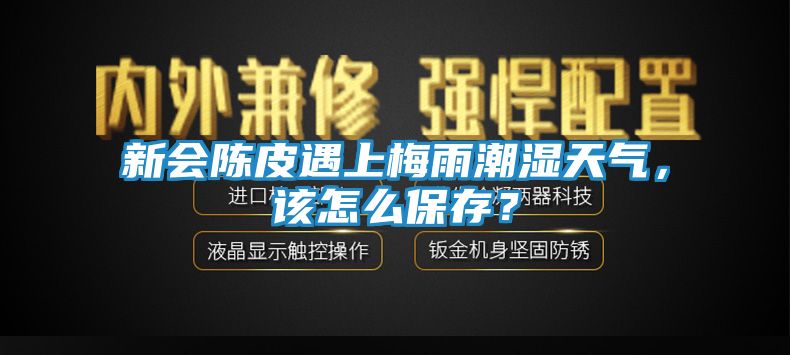 新会陈皮遇上梅雨潮湿天气，该怎么保存？