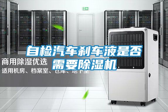 自检汽车刹车液是否需要除湿机