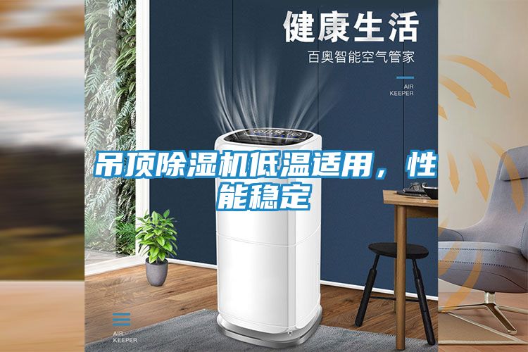 吊顶除湿机低温适用，性能稳定