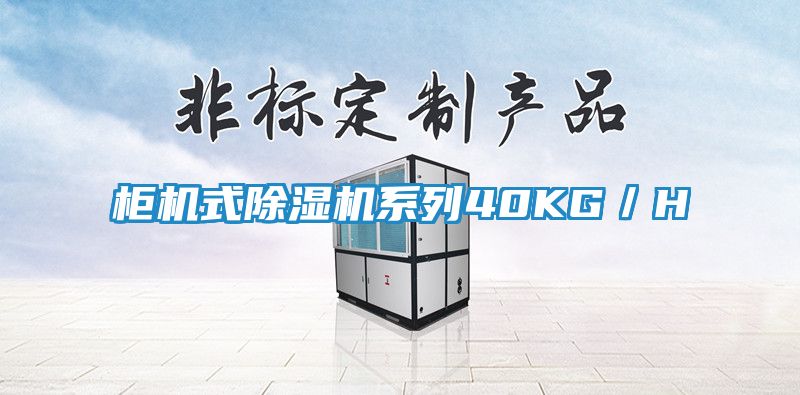 柜机式除湿机系列40KG／H