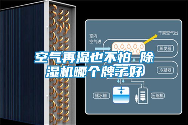 空气再湿也不怕 除湿机哪个牌子好