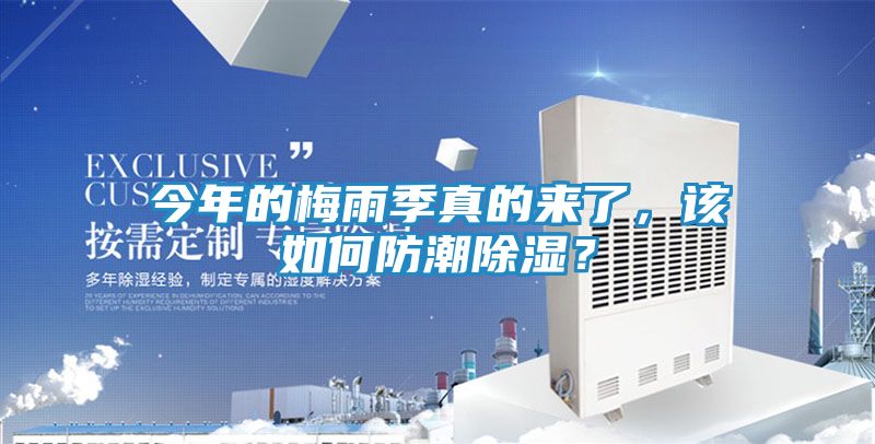 今年的梅雨季真的来了，该如何防潮除湿？