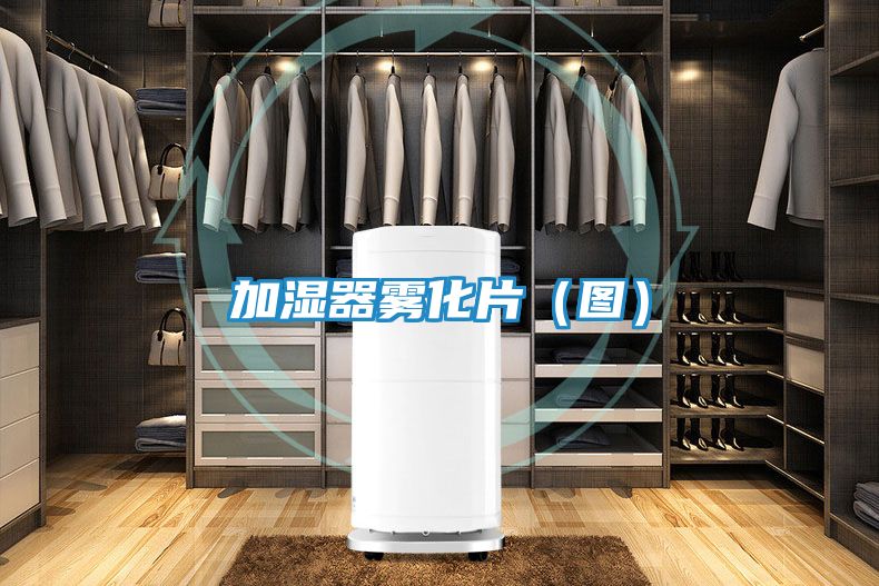 加湿器雾化片（图）