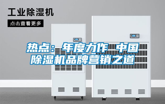 热点:年度力作 中国除湿机品牌营销之道